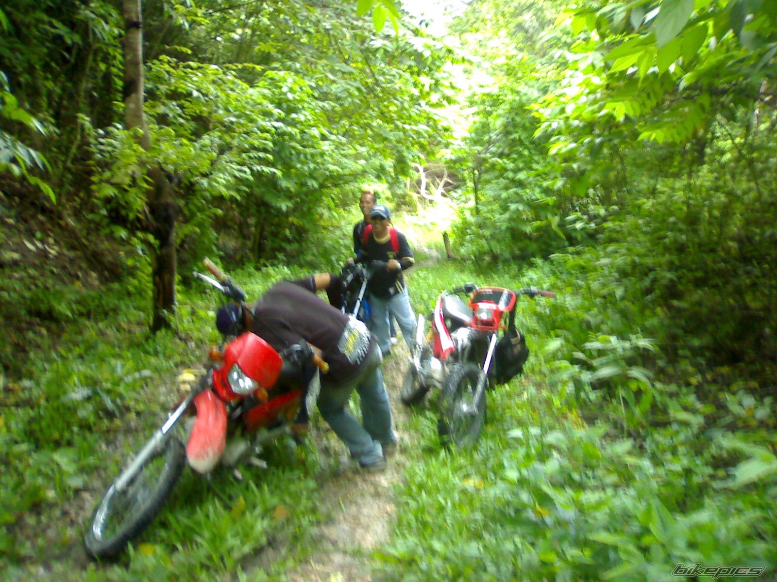 Bike Photo 1470092