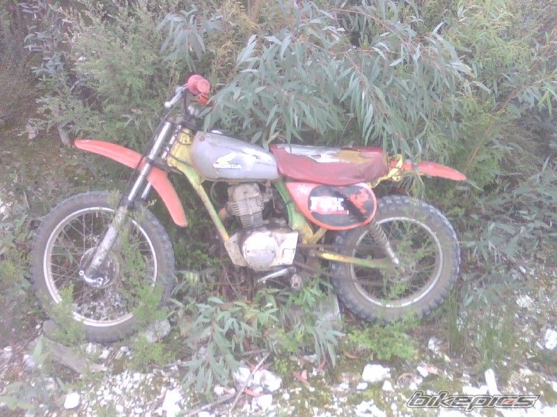 Photo 1470134