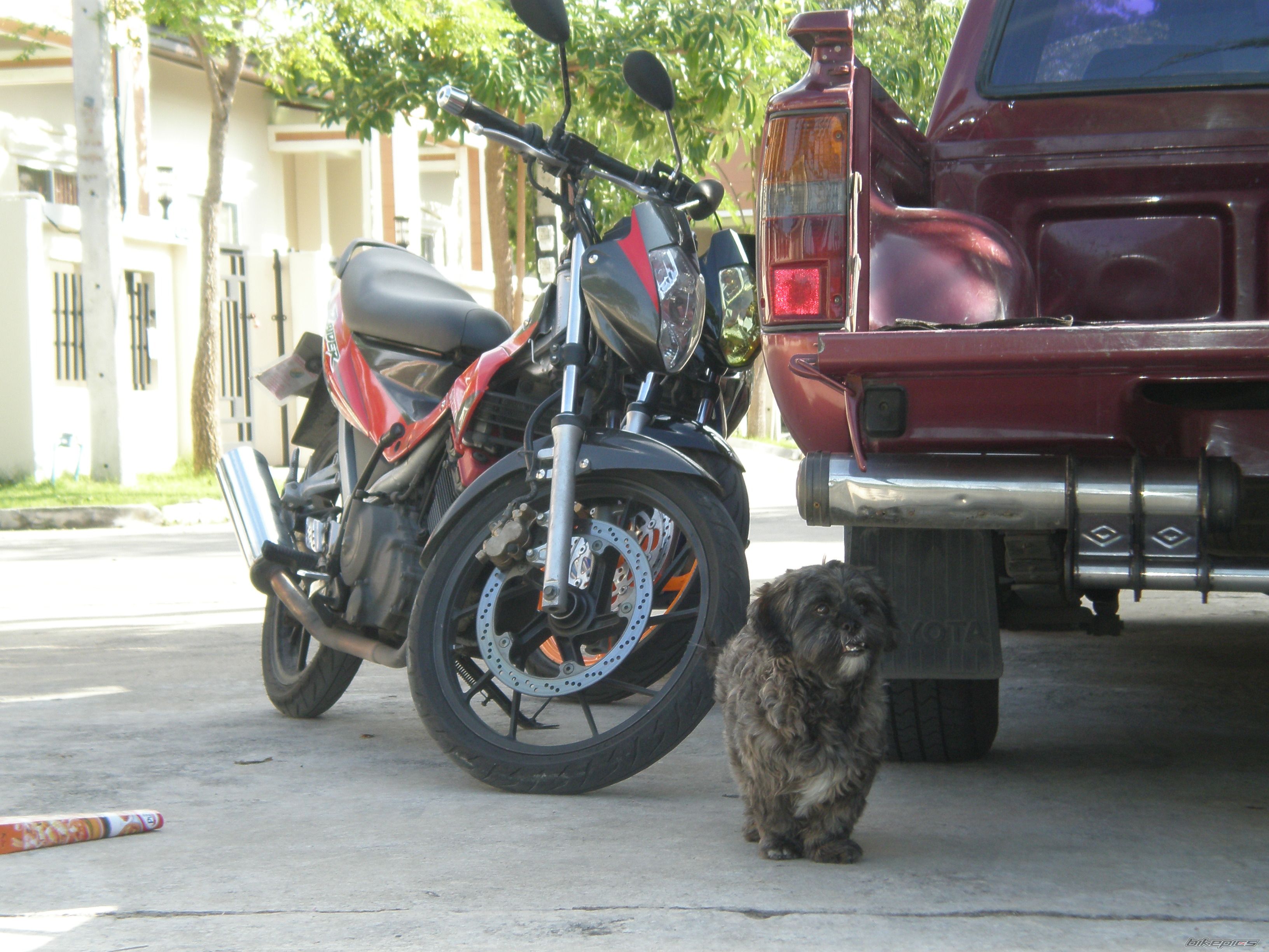 Photo 1470174
