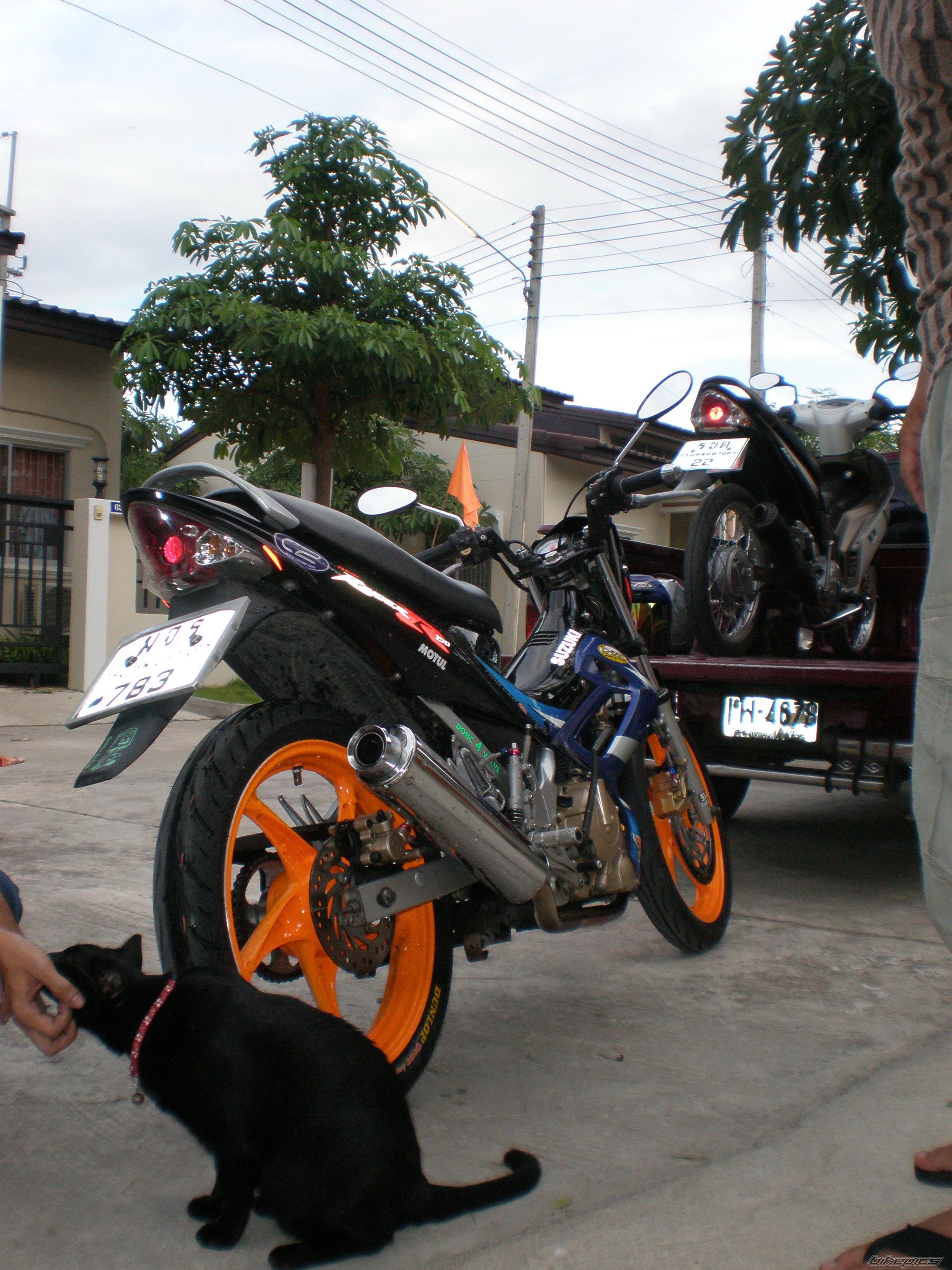 Photo 1470182