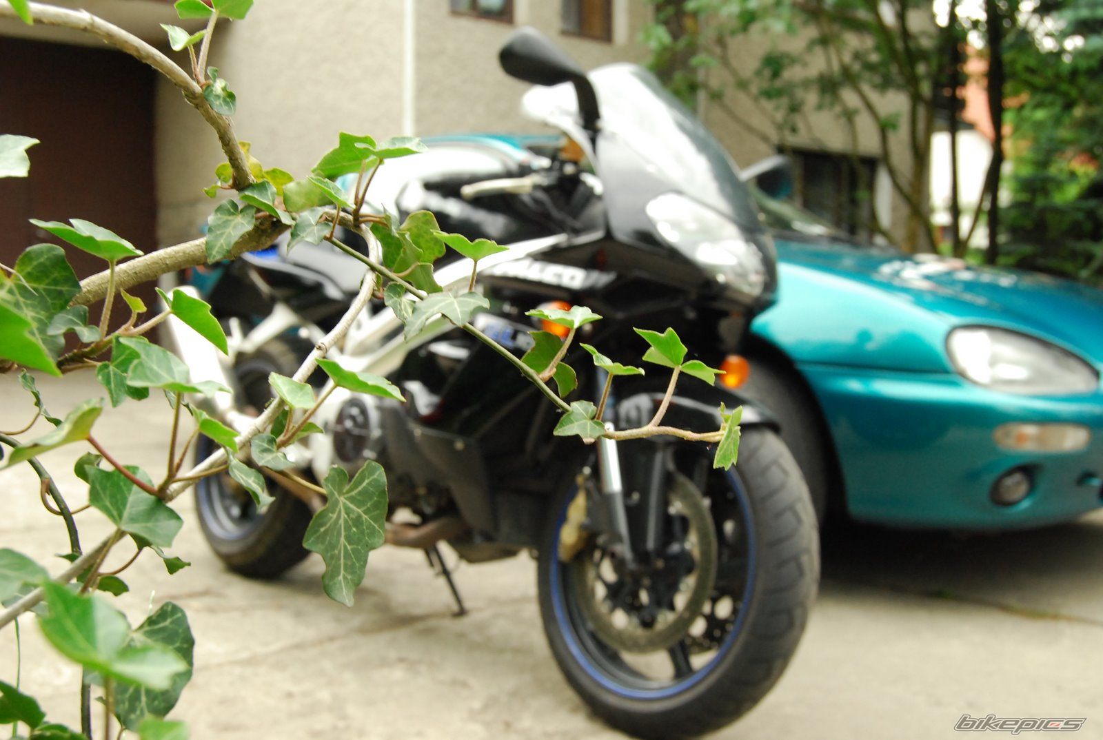 Photo 1470194
