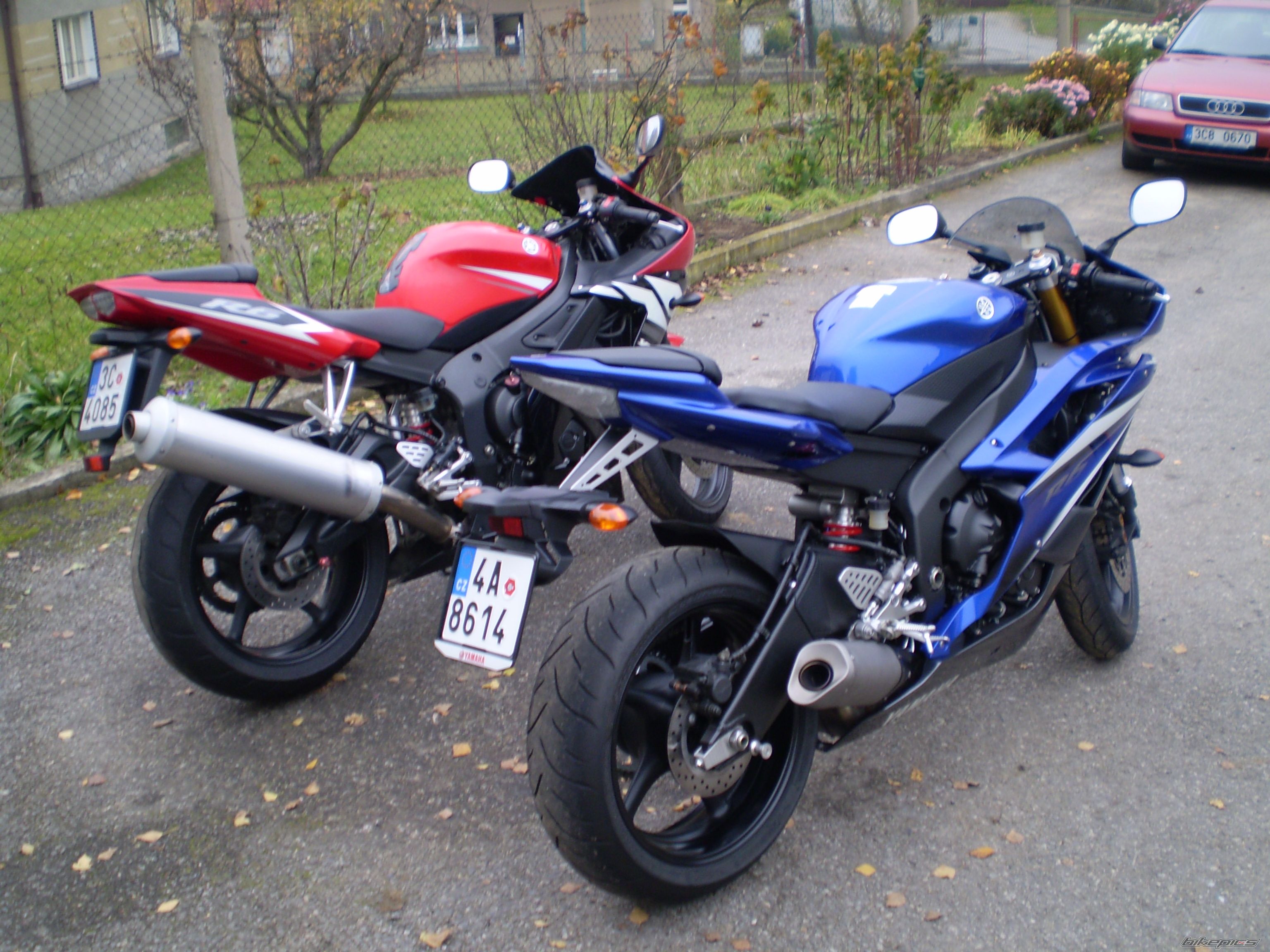 Photo 1470256