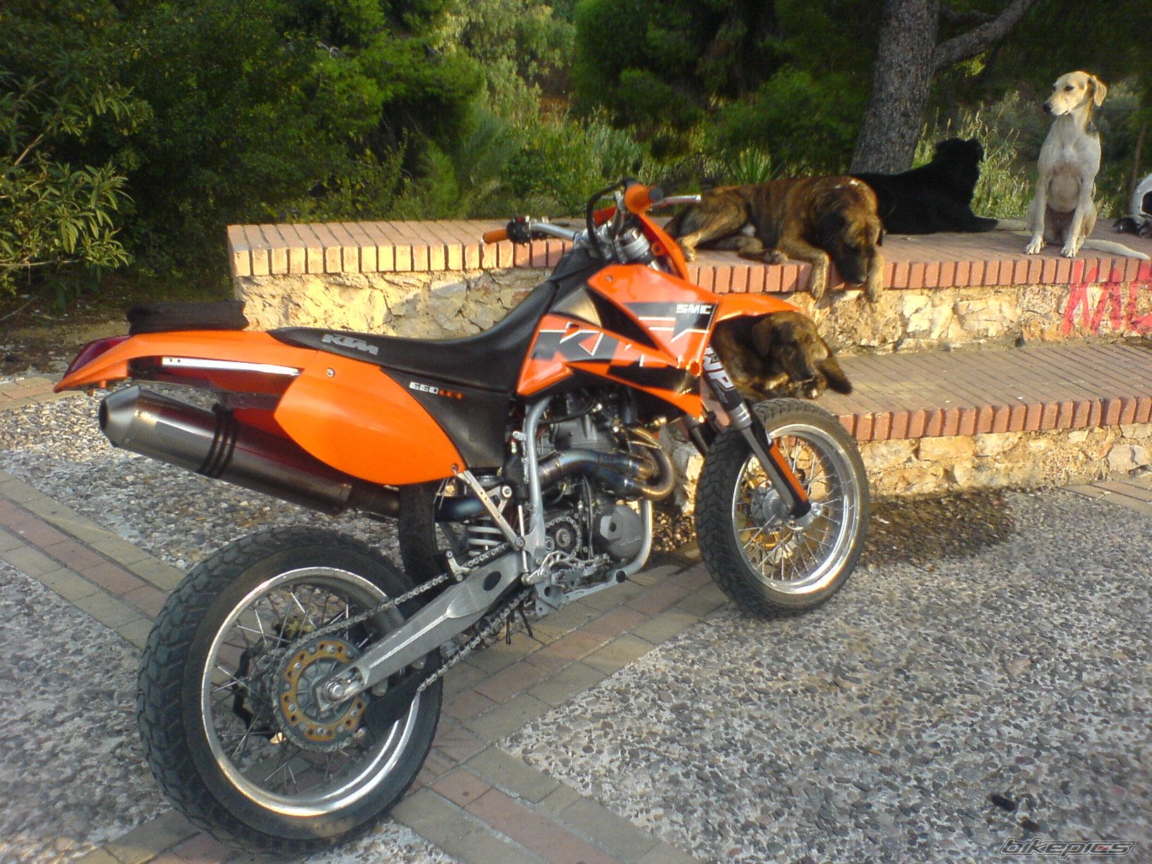 Photo 1470278