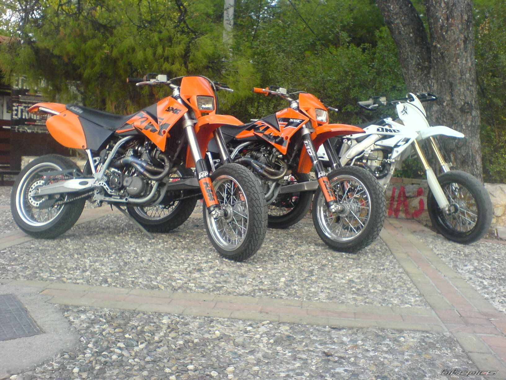 Photo 1470282