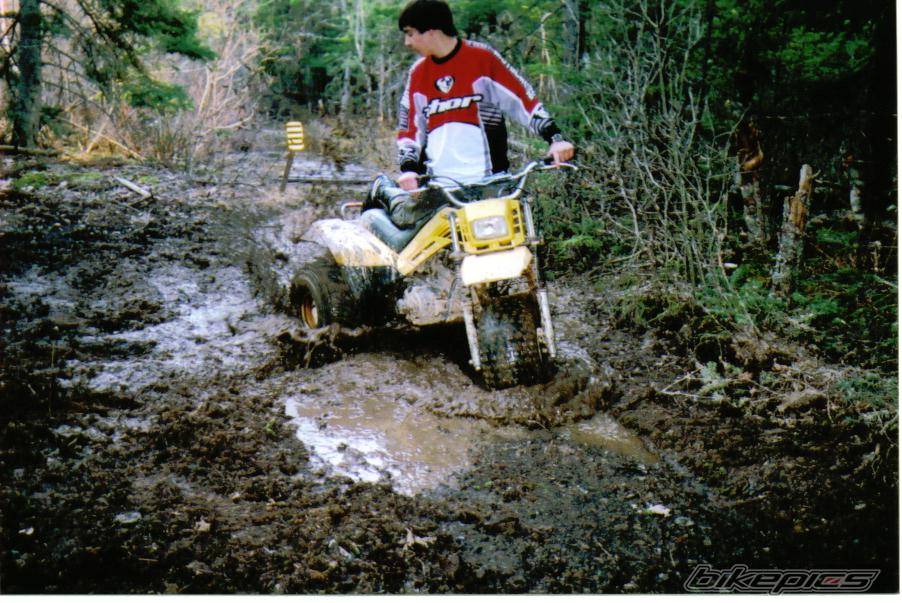 Bike Photo 147029