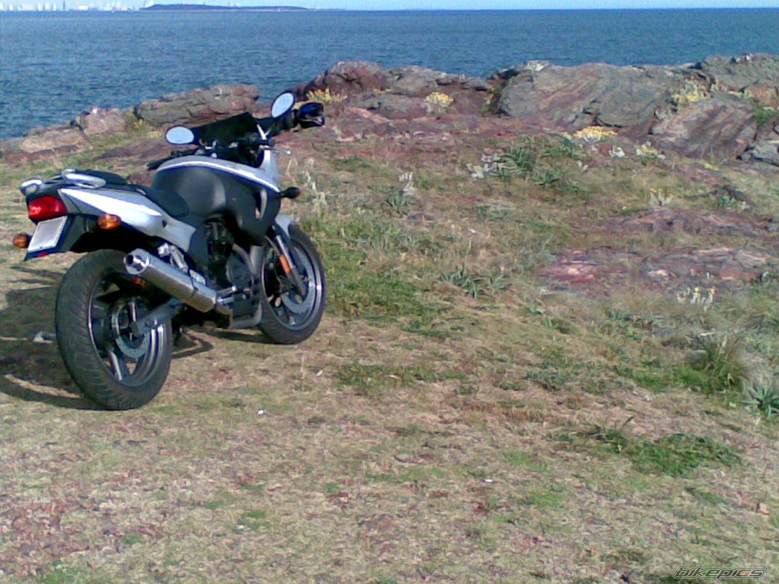 Photo 1470370