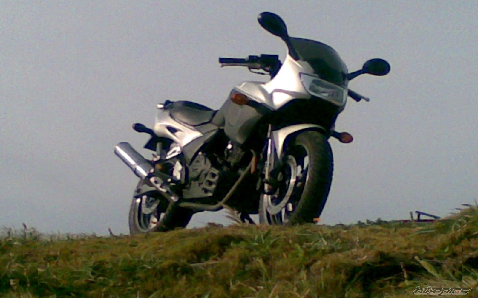 Photo 1470371