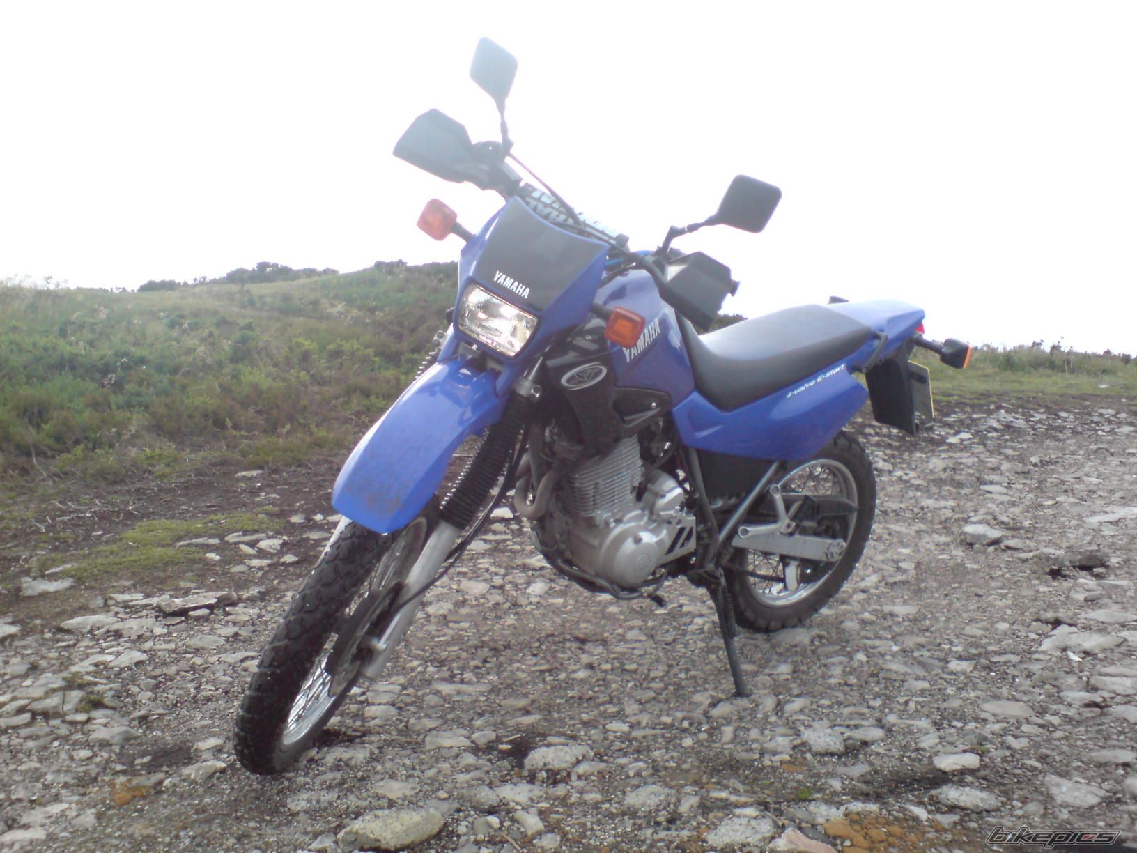 Photo 1470483