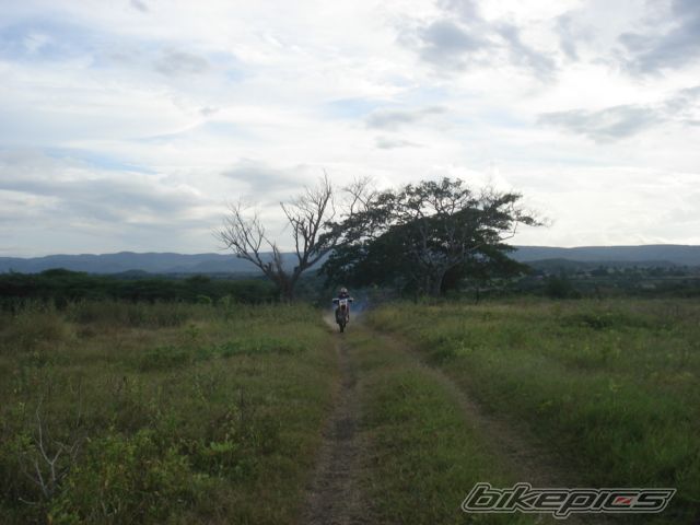 Bike Photo 1470498