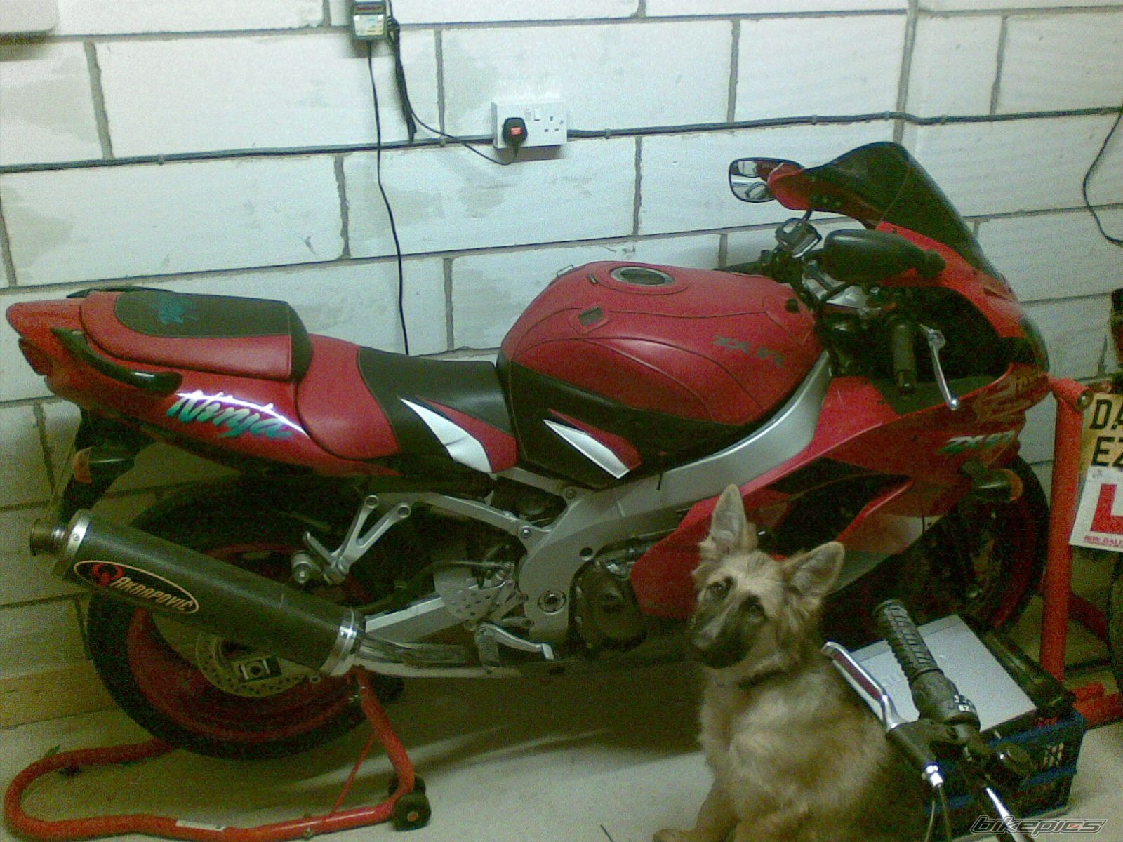 Photo 1470875