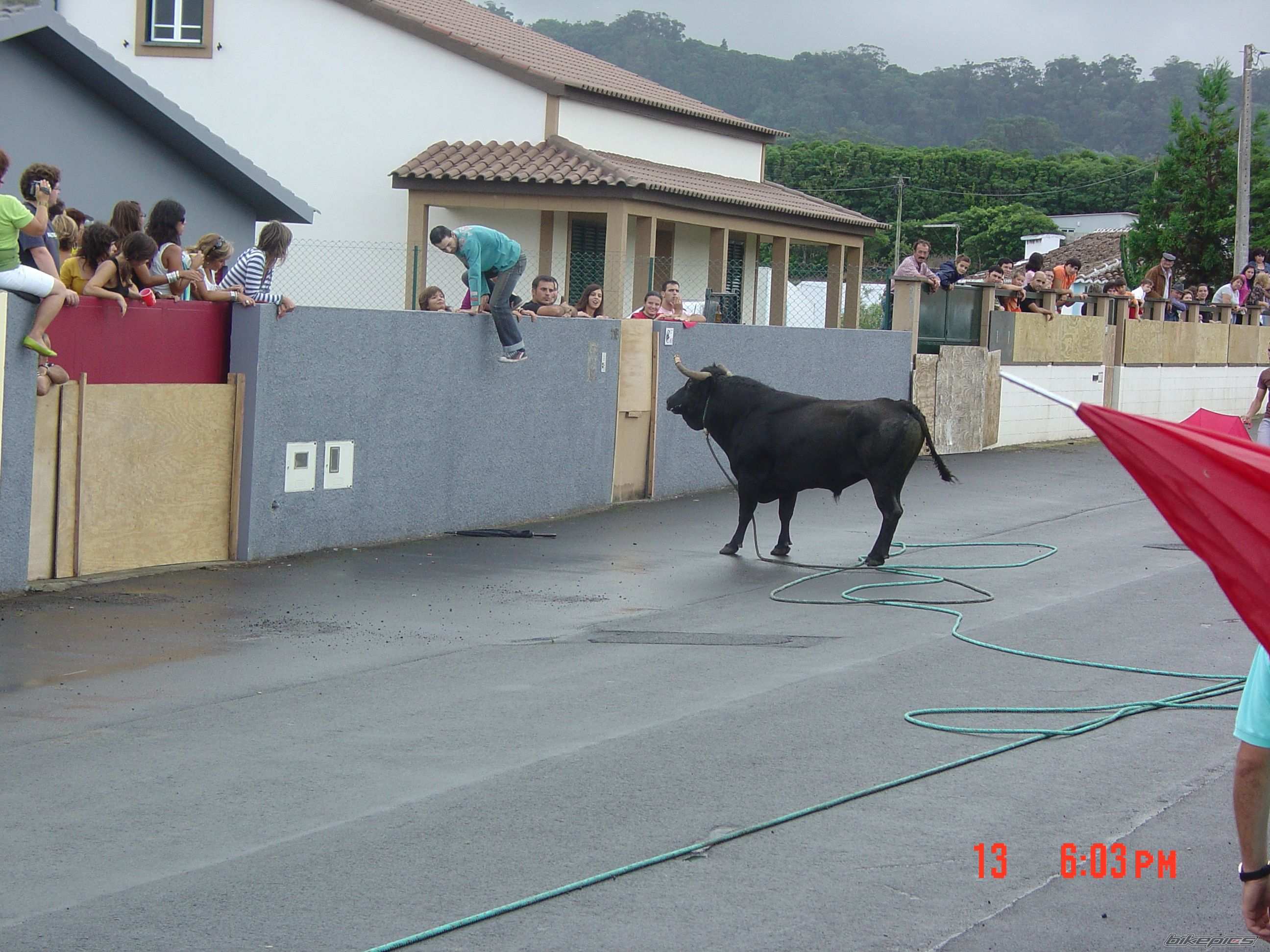 Photo 1470890