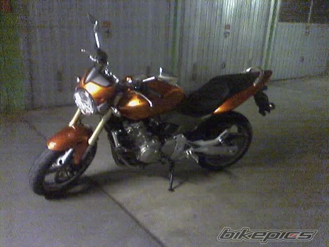 Photo 1470962