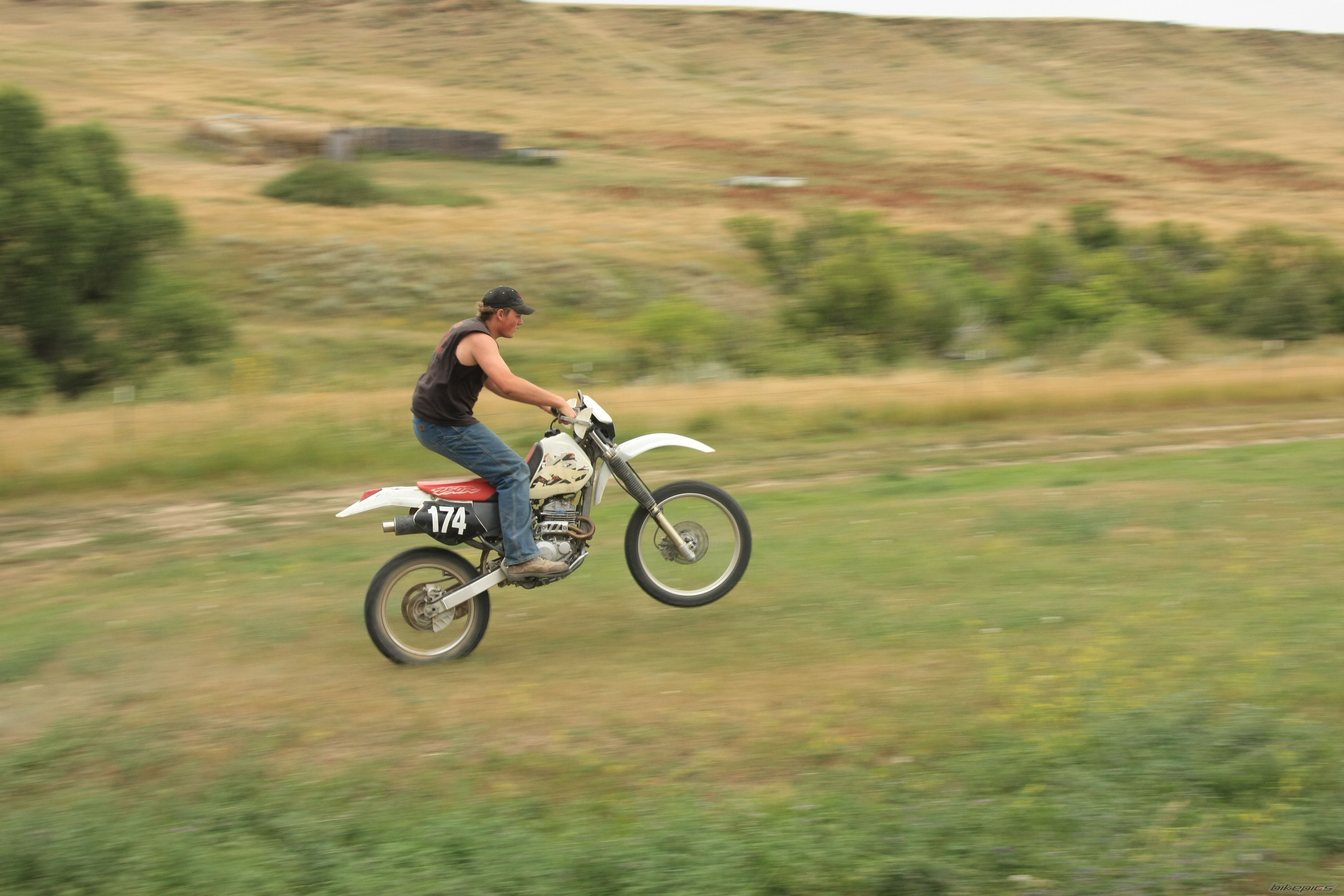 Photo 1470975