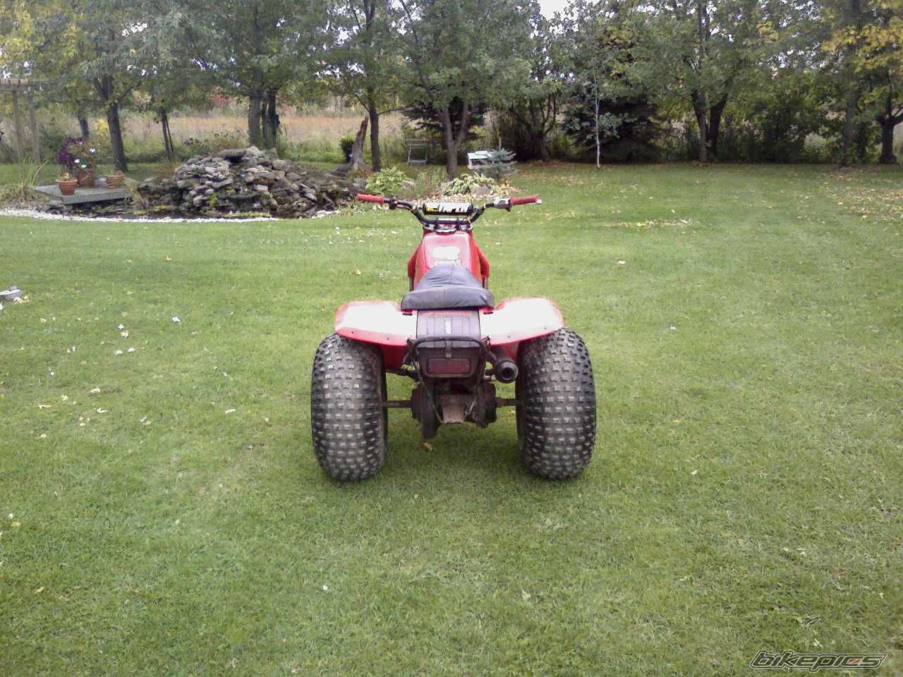 Photo 1471027