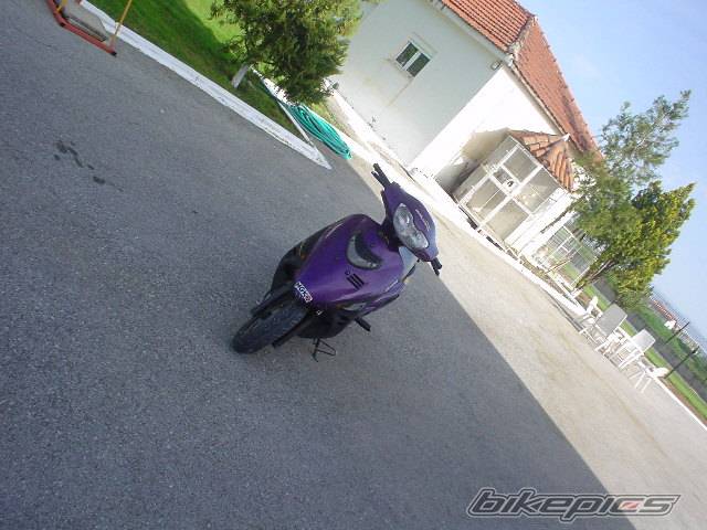 Photo 147113