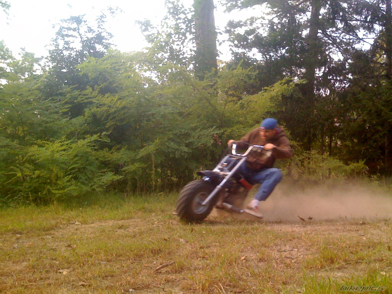 Photo 1471141