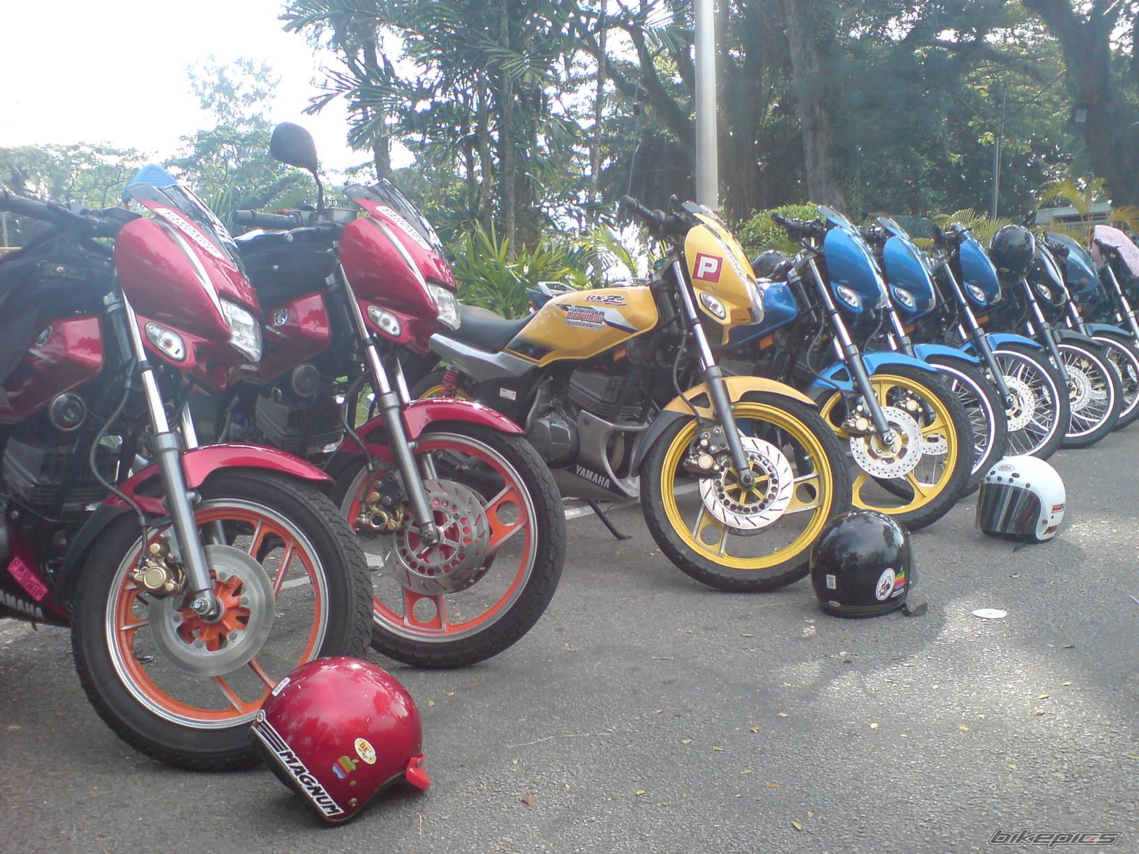 Photo 1471388