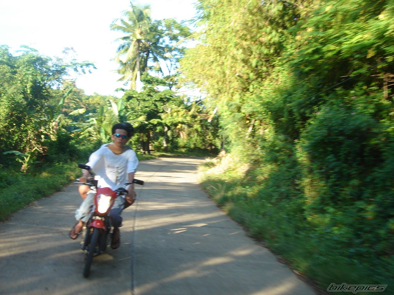Photo 1471432