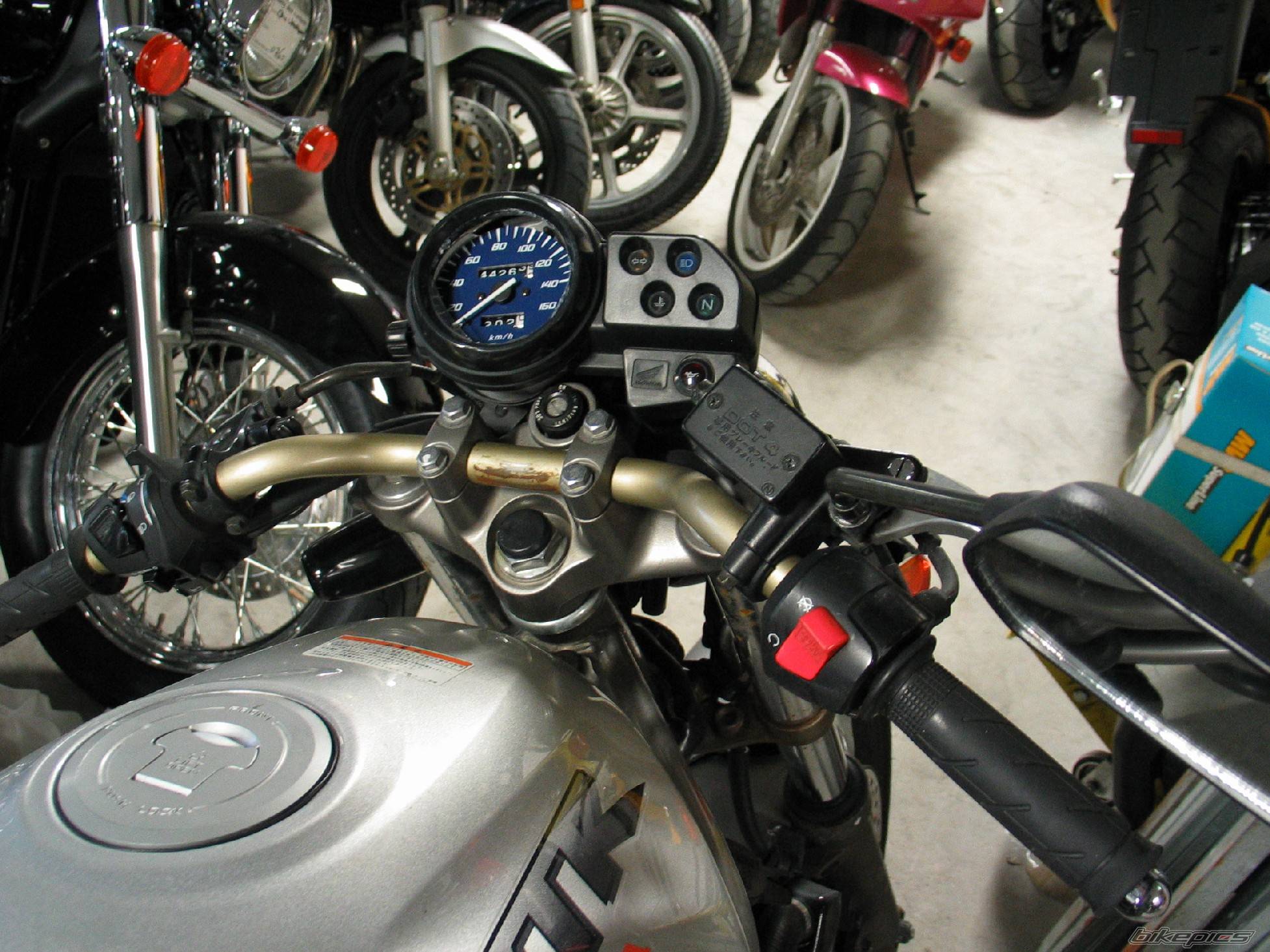 Photo 147151