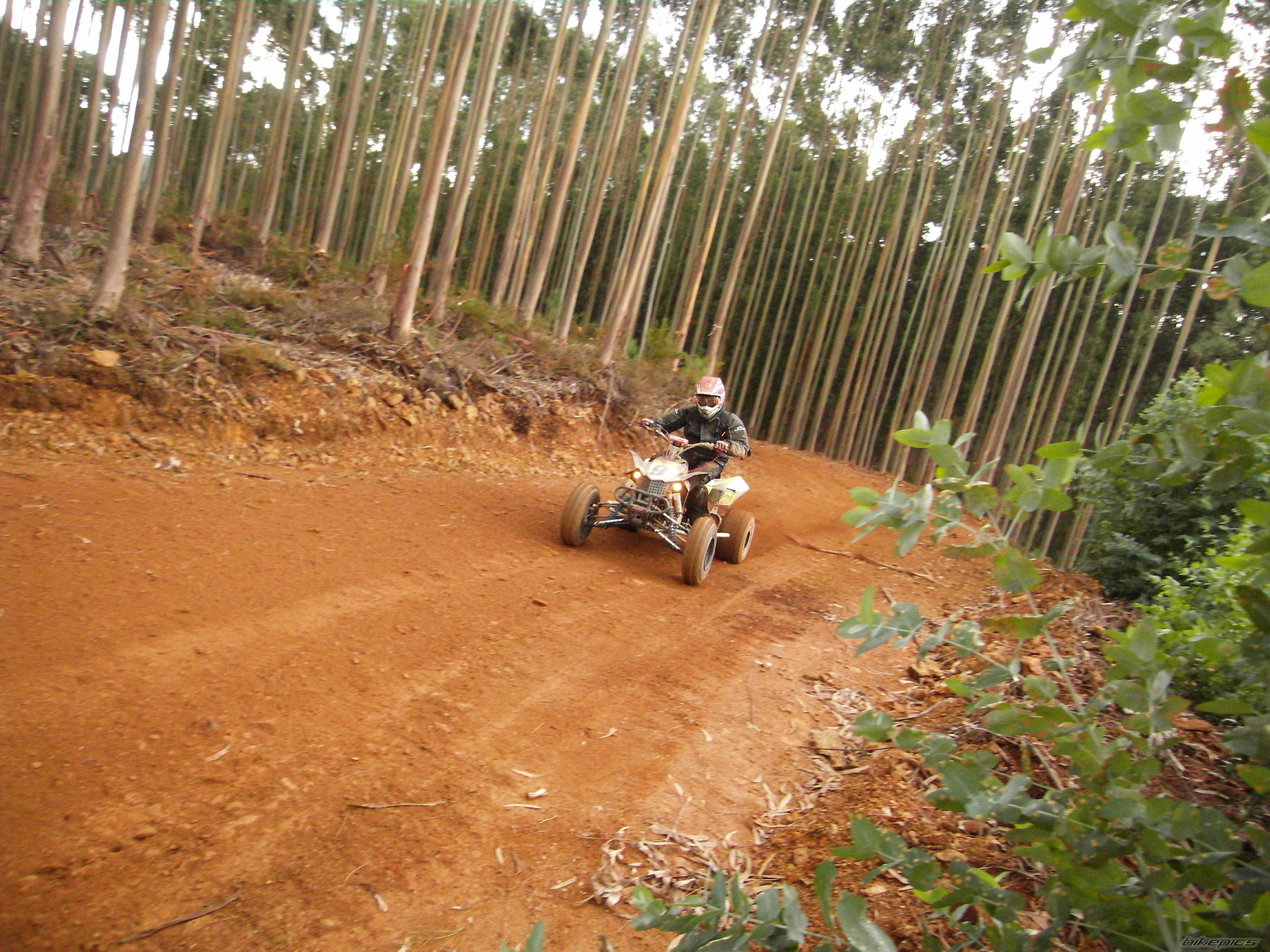 Photo 1471613