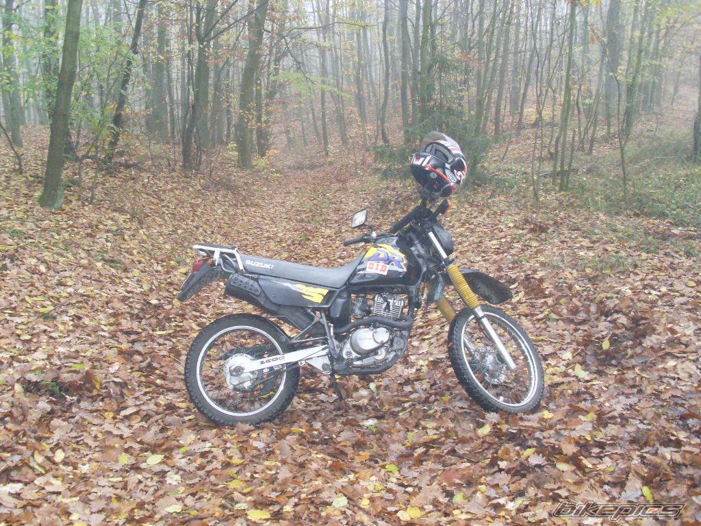 Photo 1471878