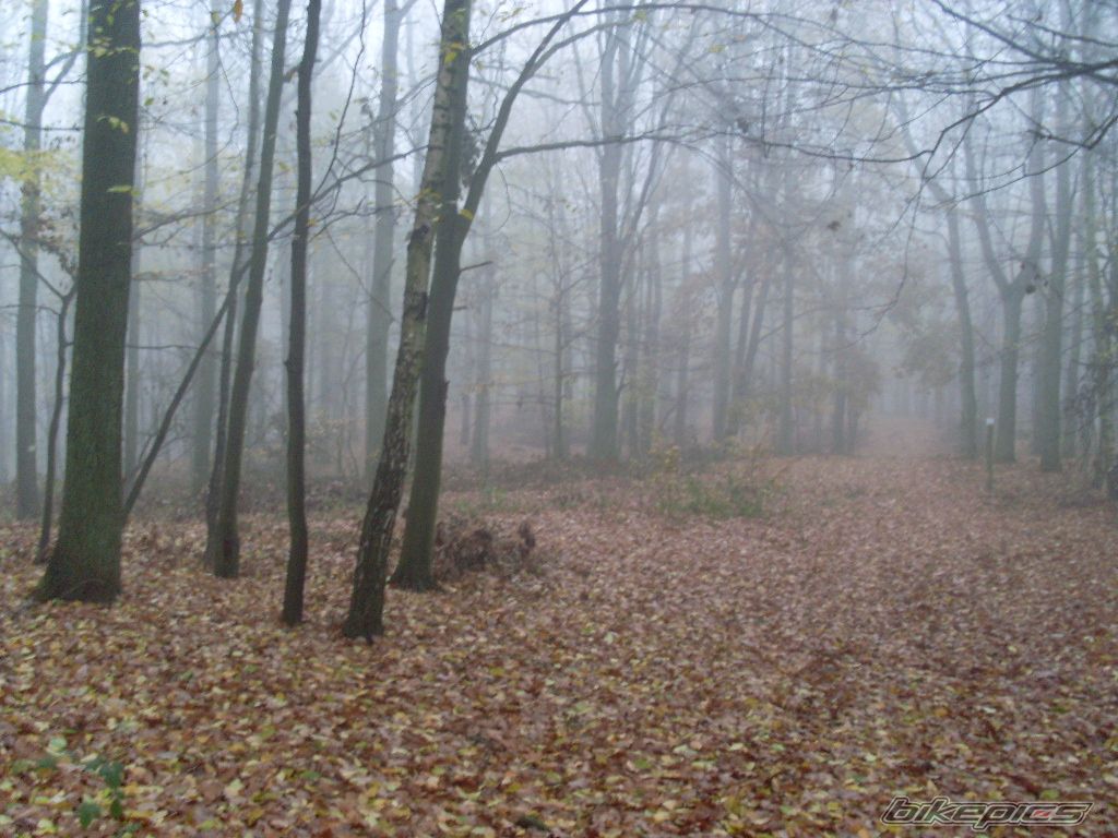 Photo 1471881