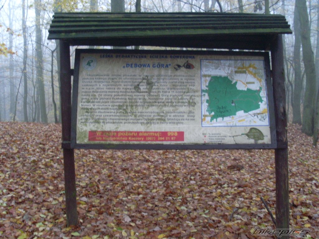 Photo 1471885