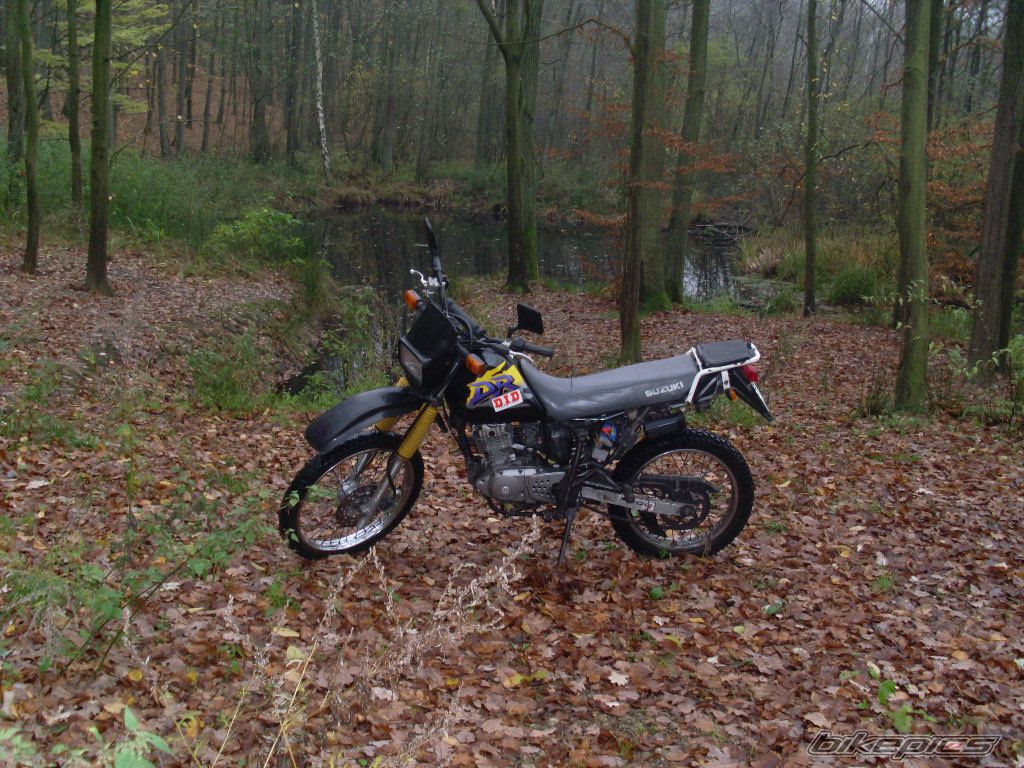 Photo 1471894