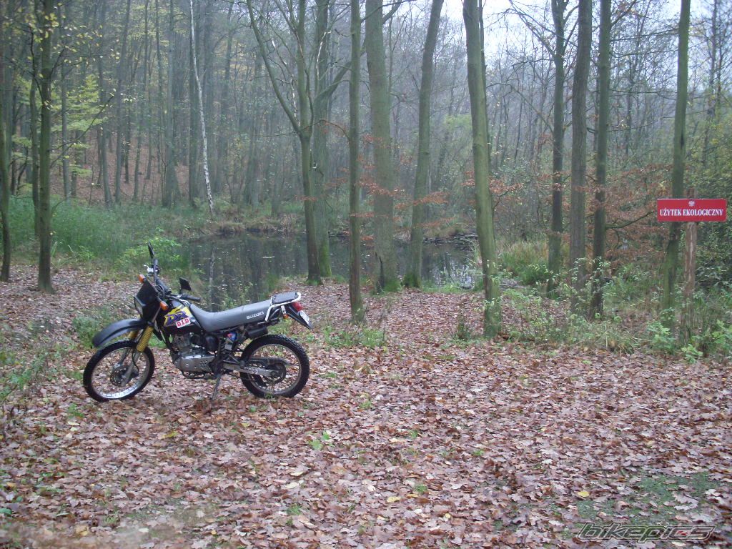 Photo 1471898