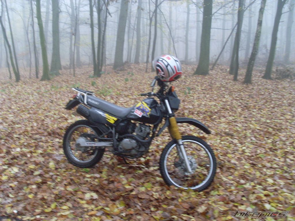 Photo 1471905