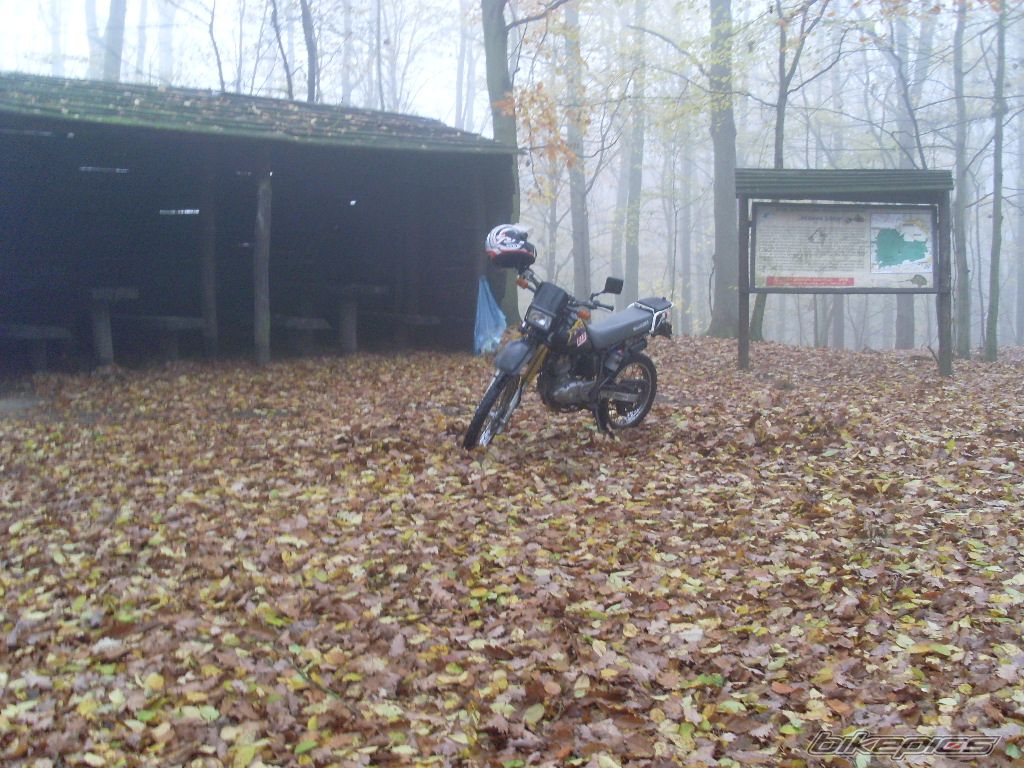 Photo 1471908