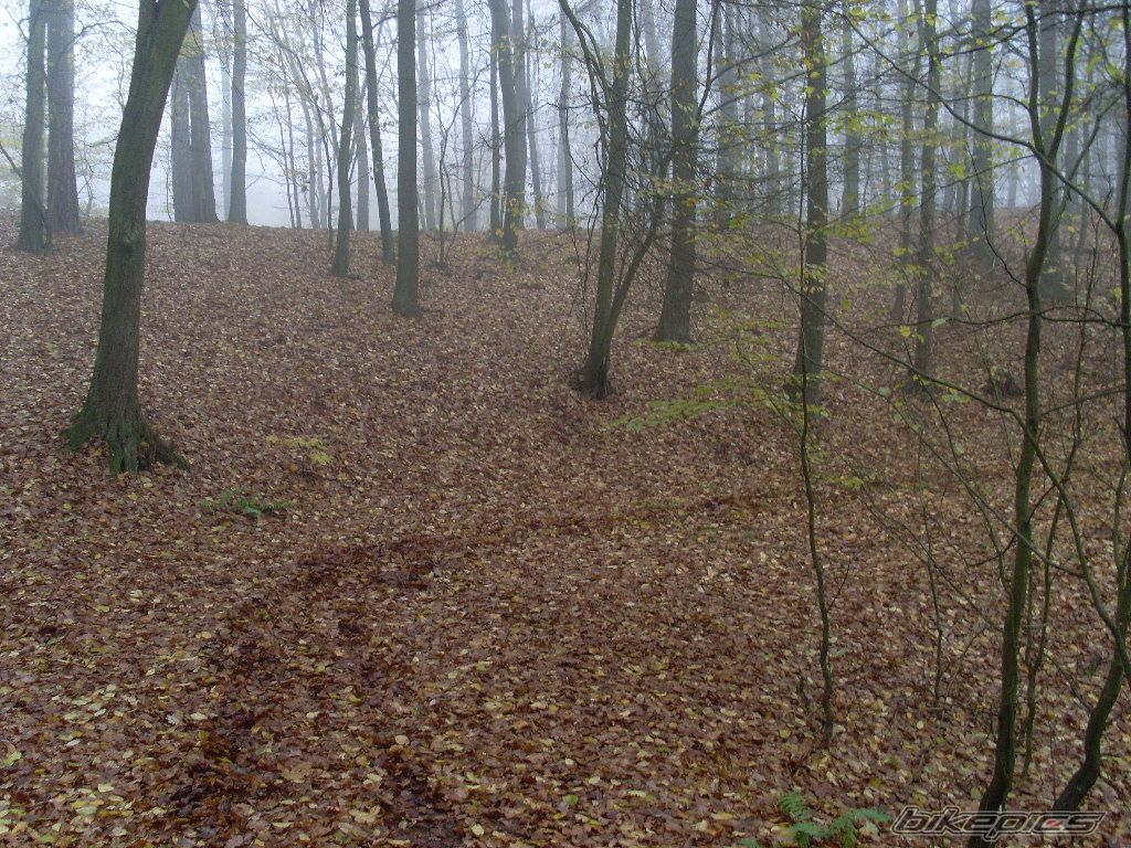 Photo 1471919