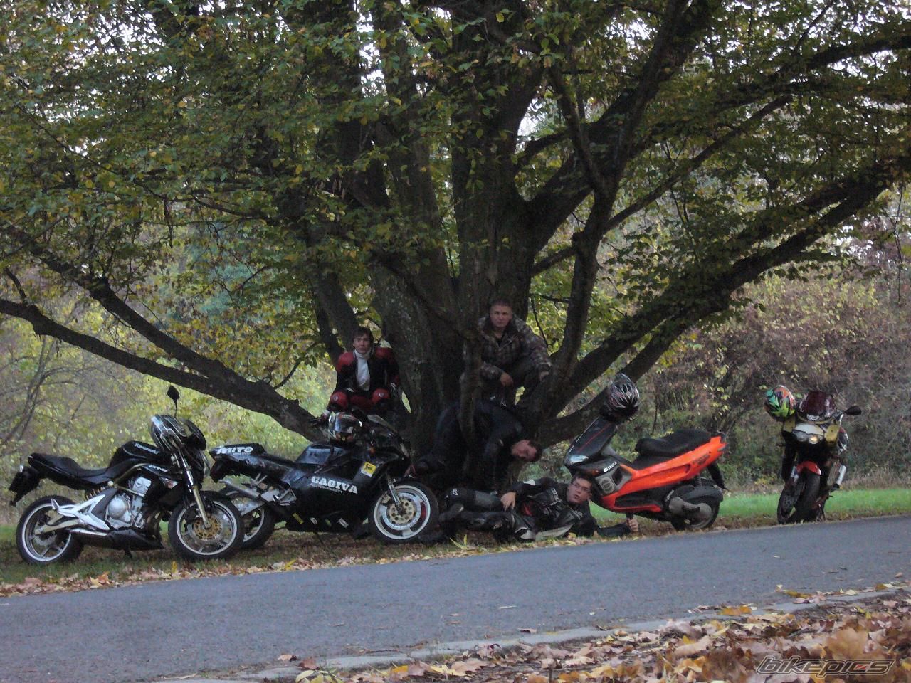 Bike Photo 1471921