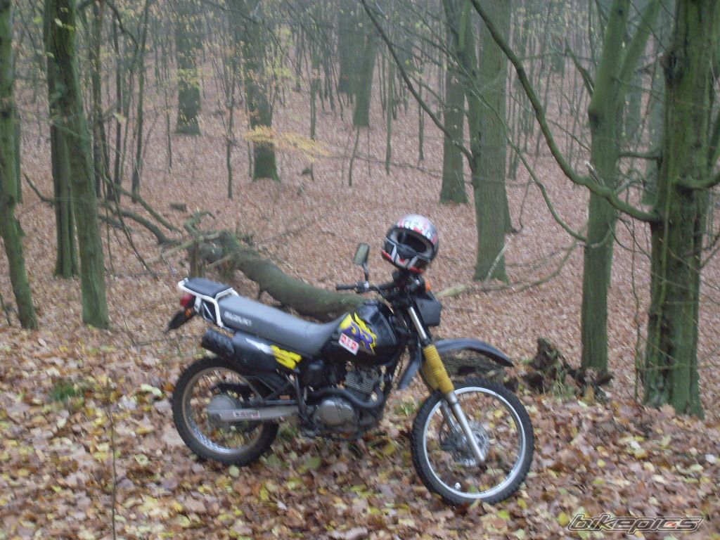 Photo 1471928
