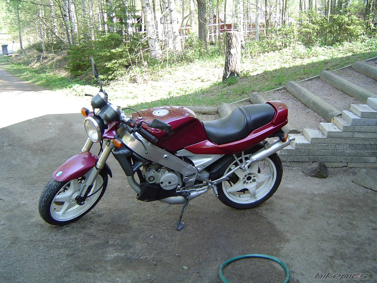 Photo 147202