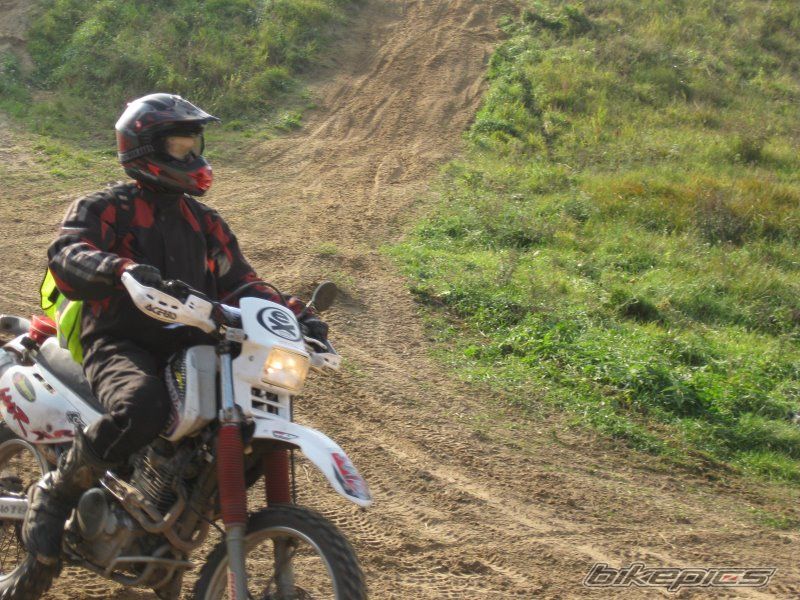 Photo 1472022