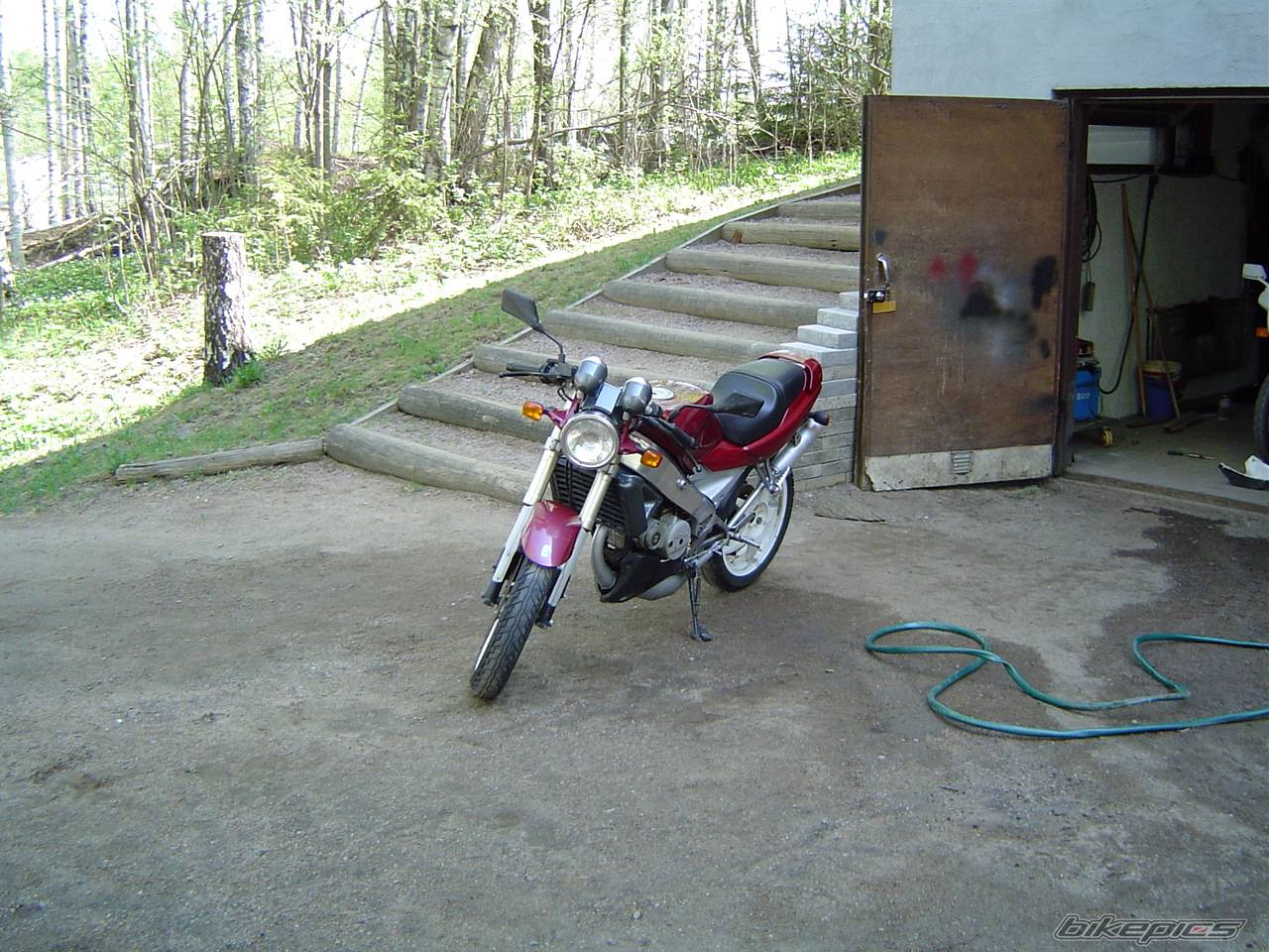 Photo 147203