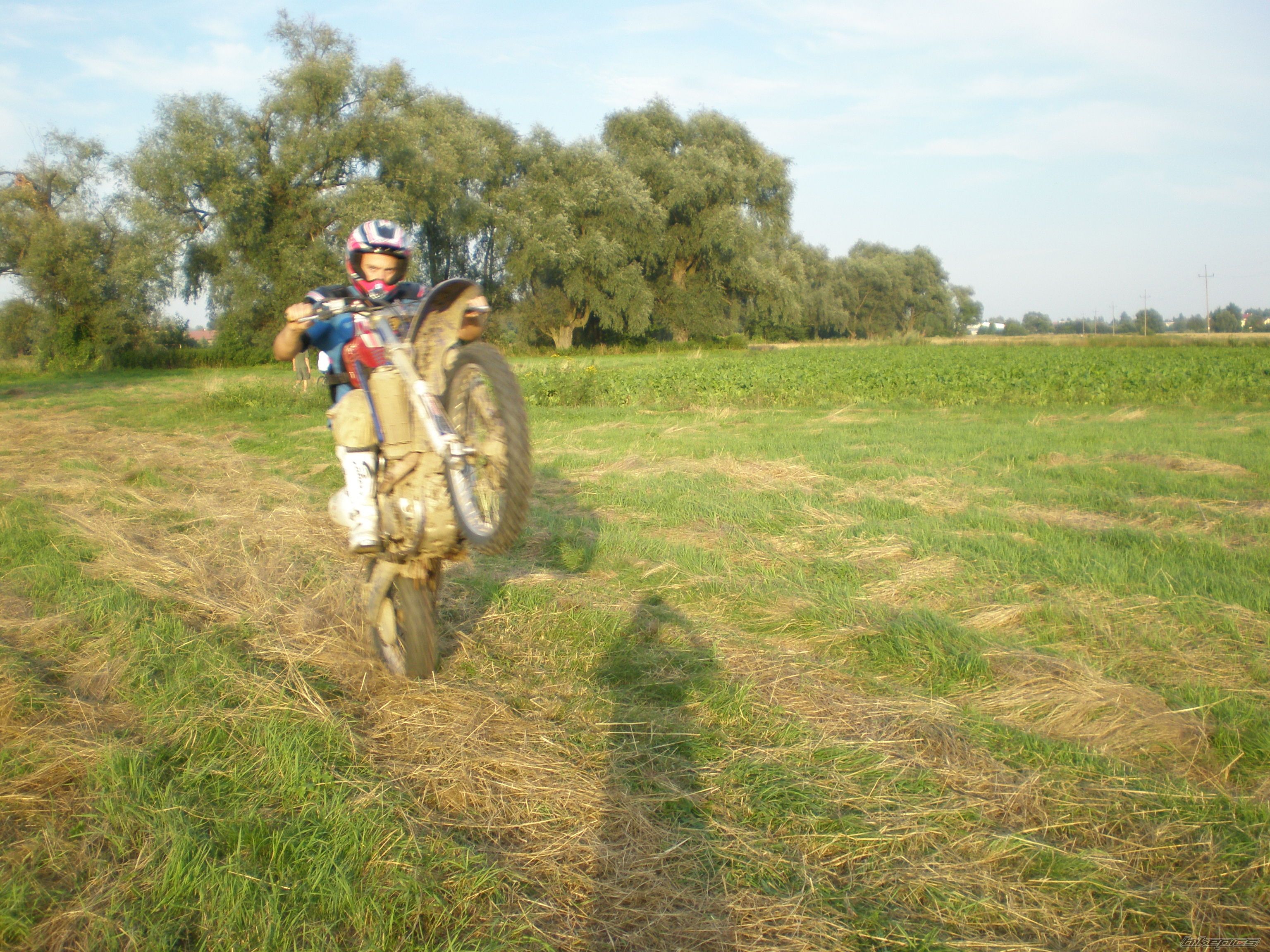 Photo 1472143