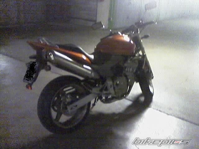 Photo 1472169