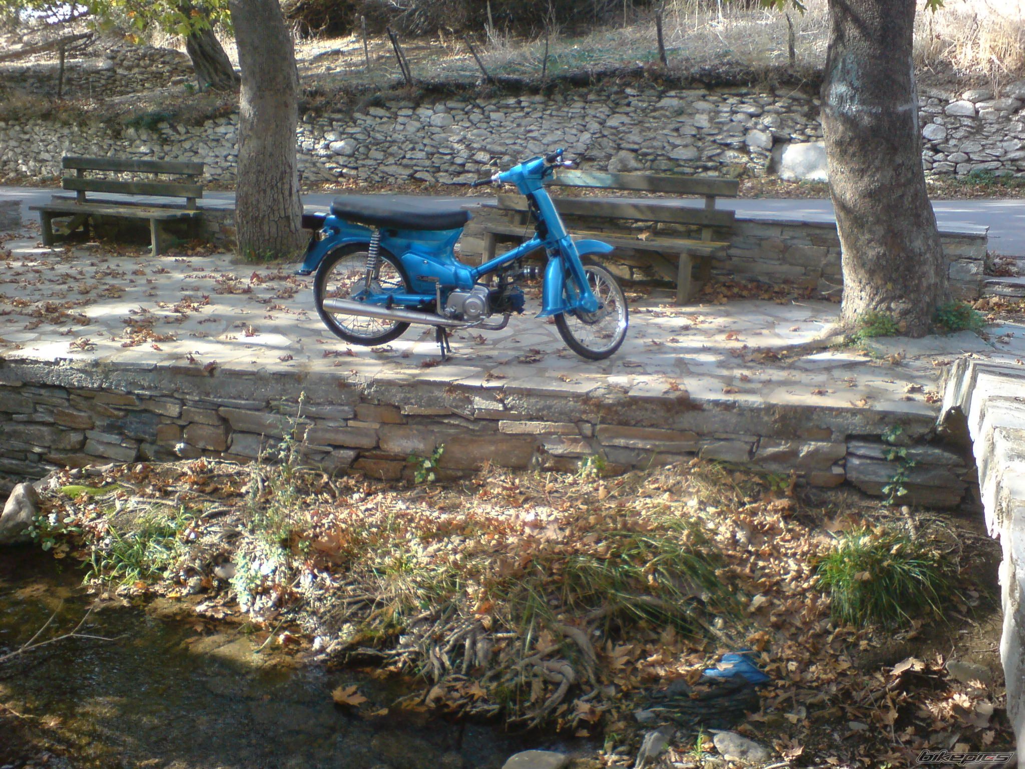 Photo 1472219