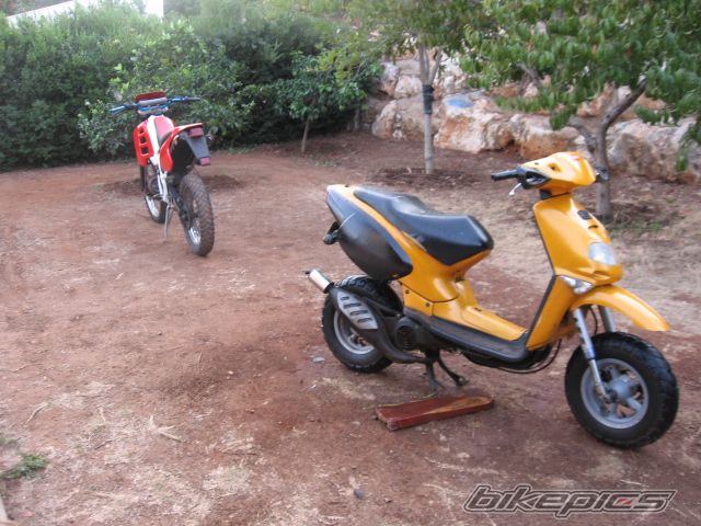 Photo 1472220