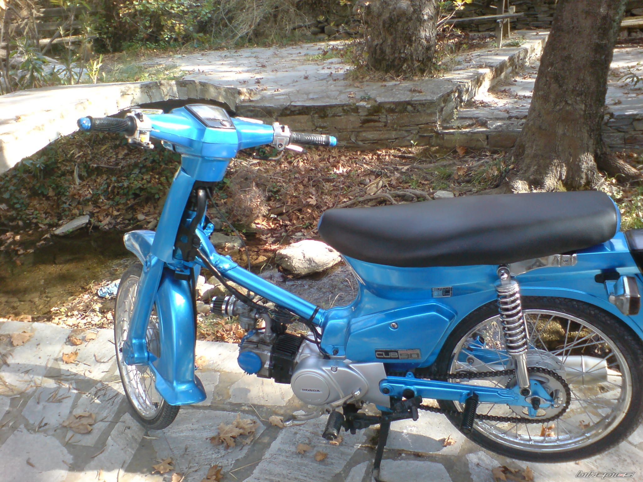Photo 1472223