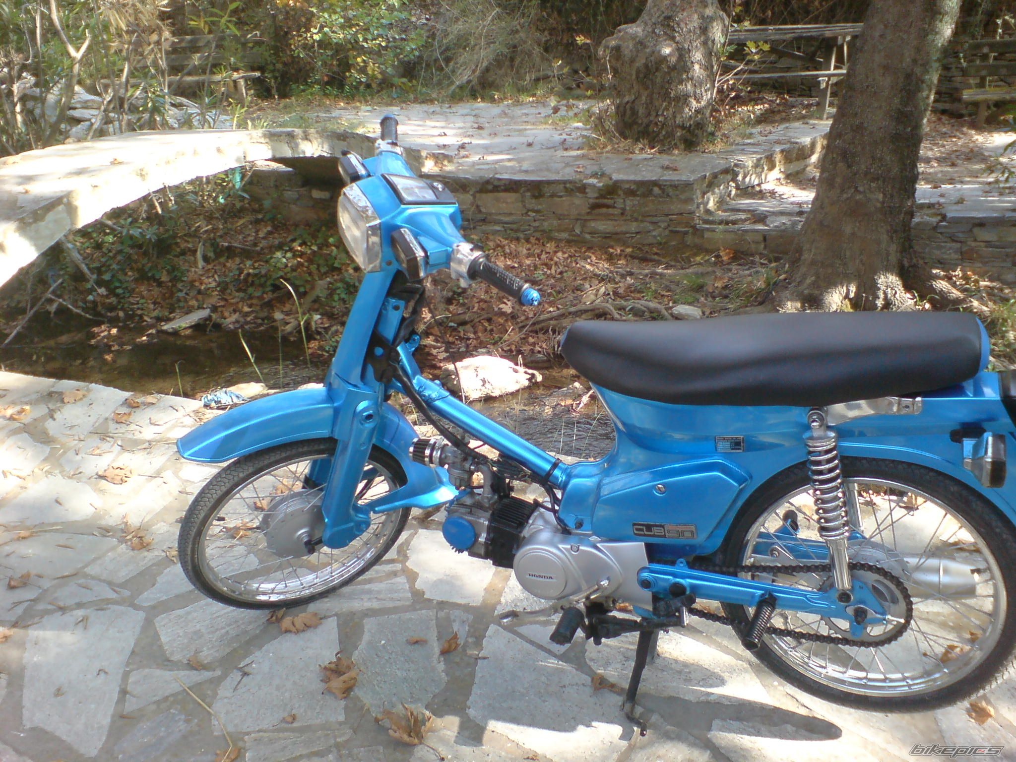 Photo 1472225