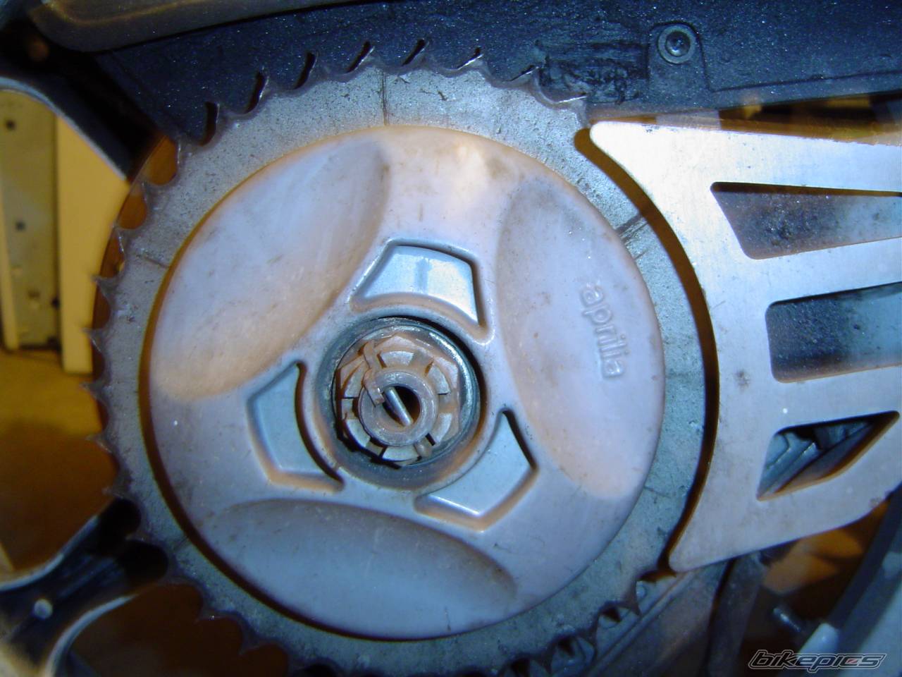 Photo 147223