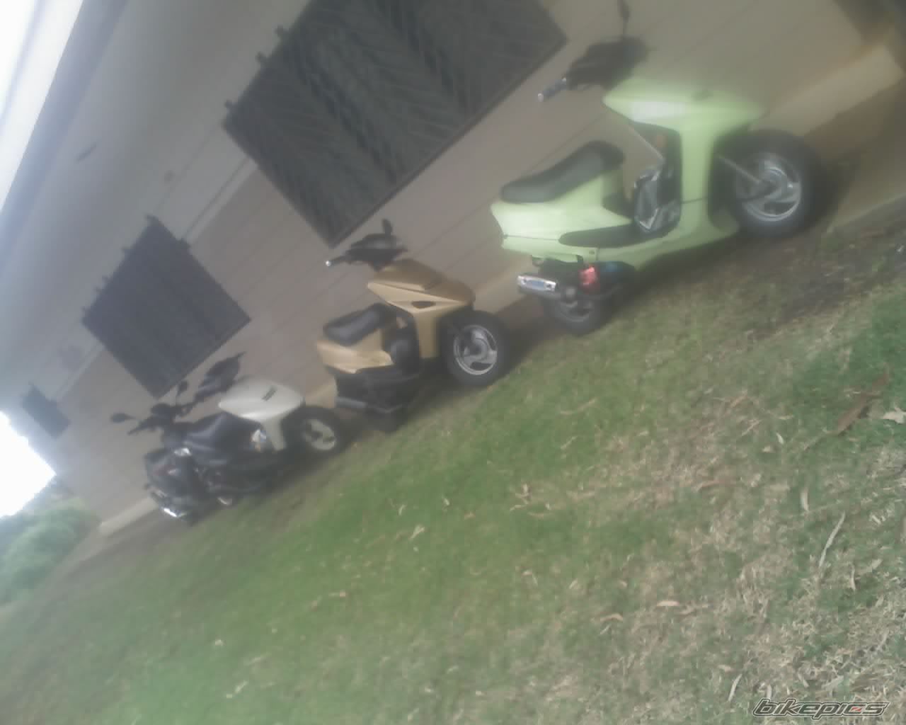 Photo 1472236