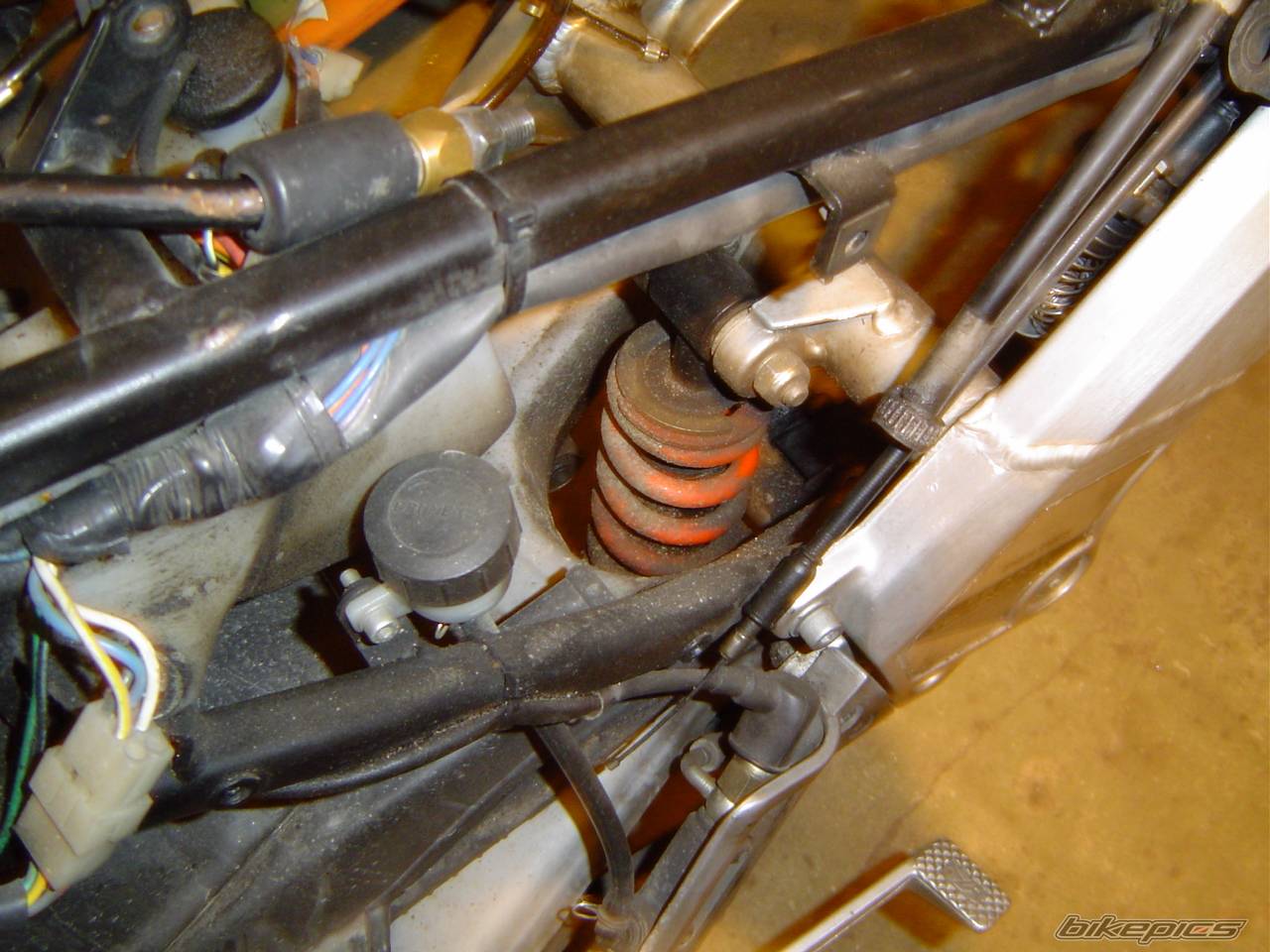 Photo 147224