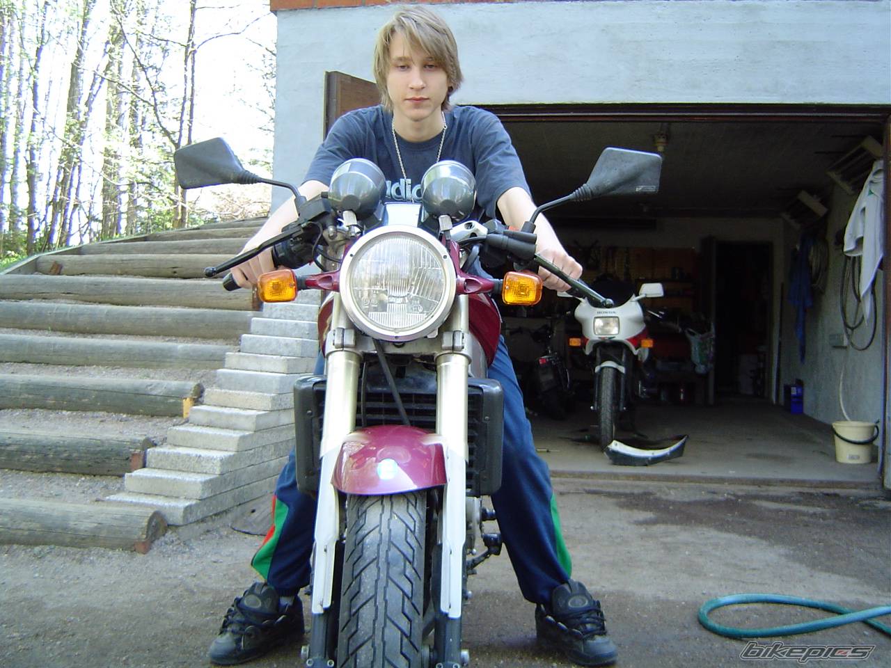 Photo 147226
