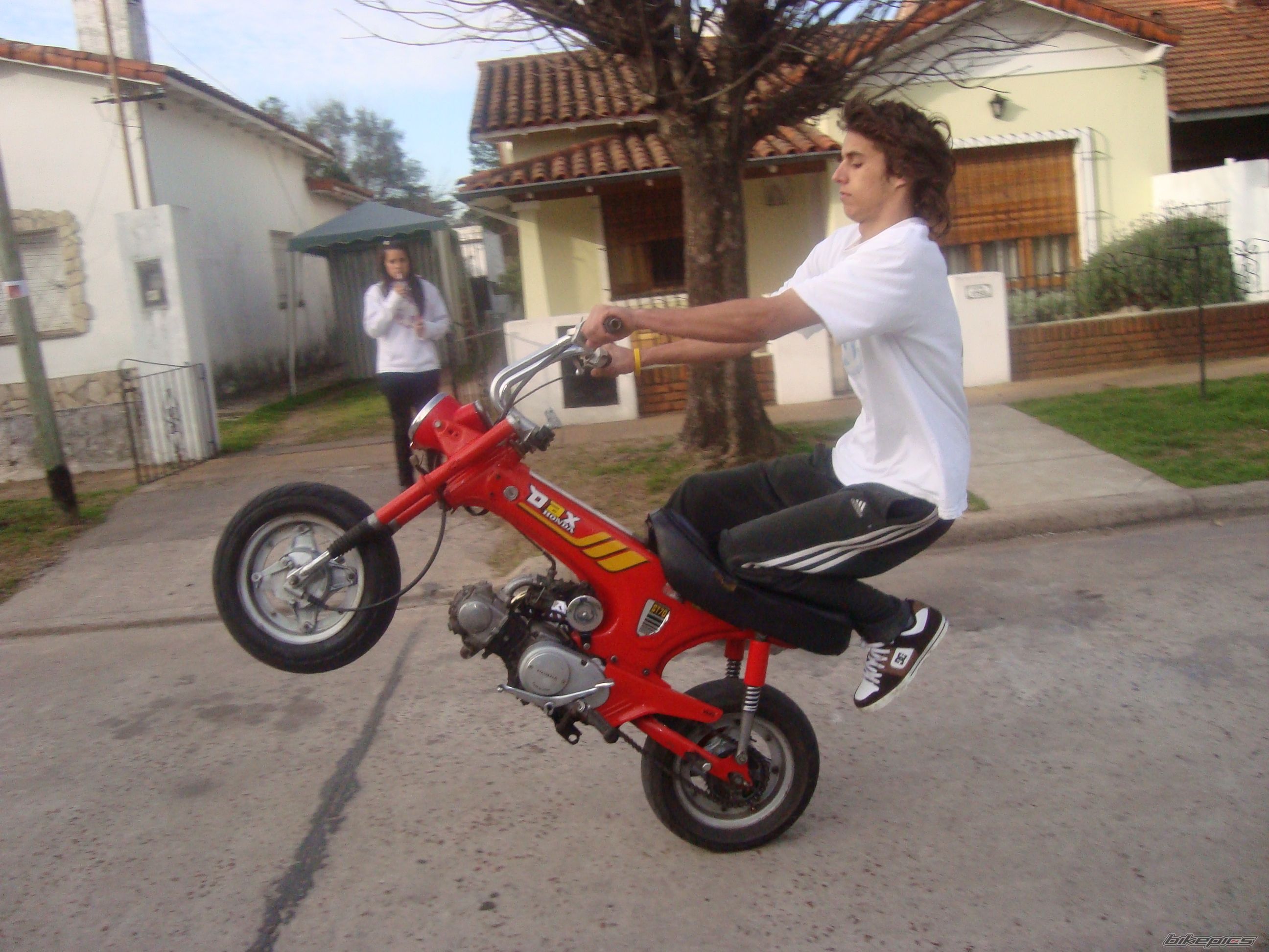 Photo 1472271