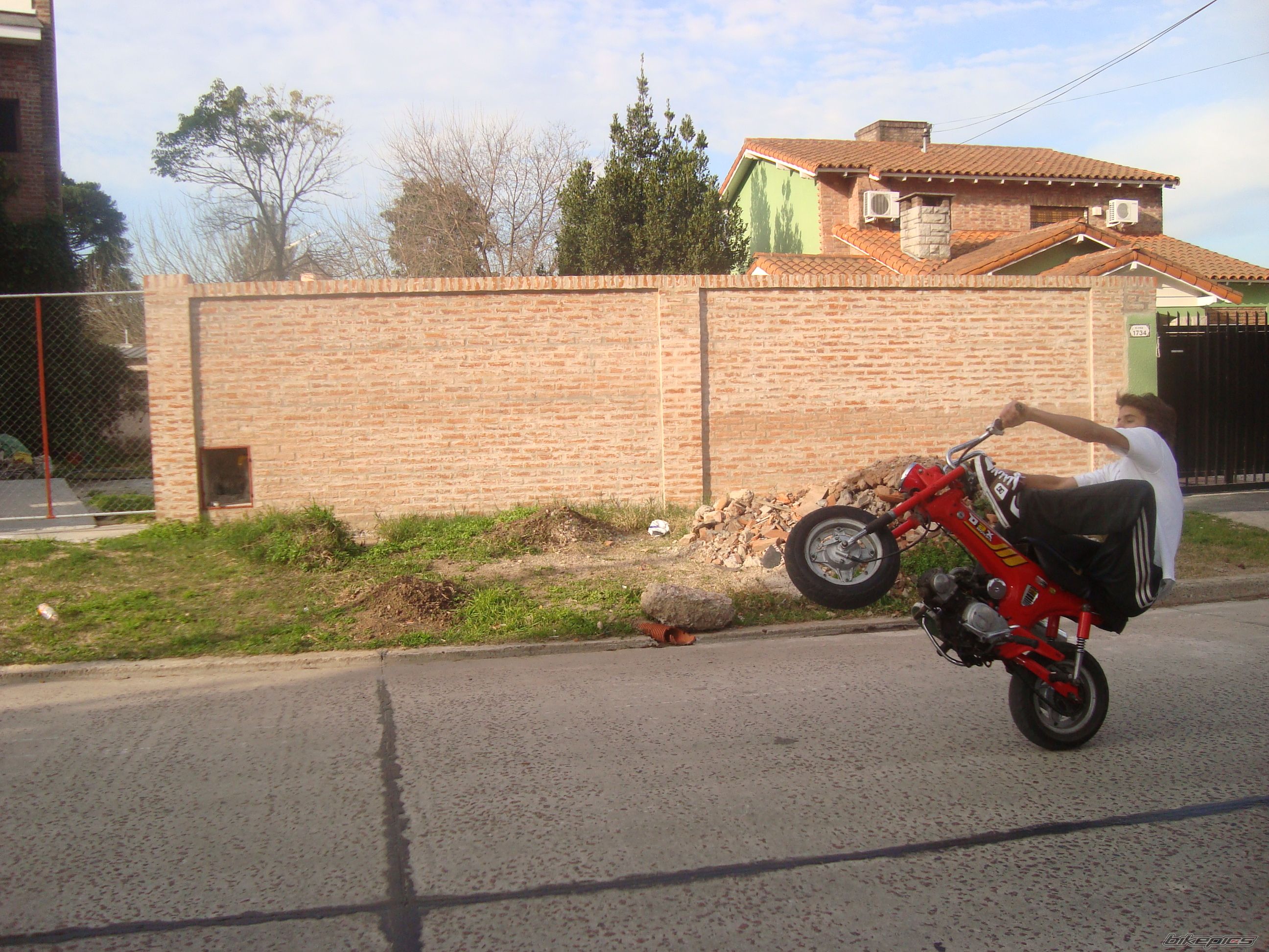 Photo 1472274