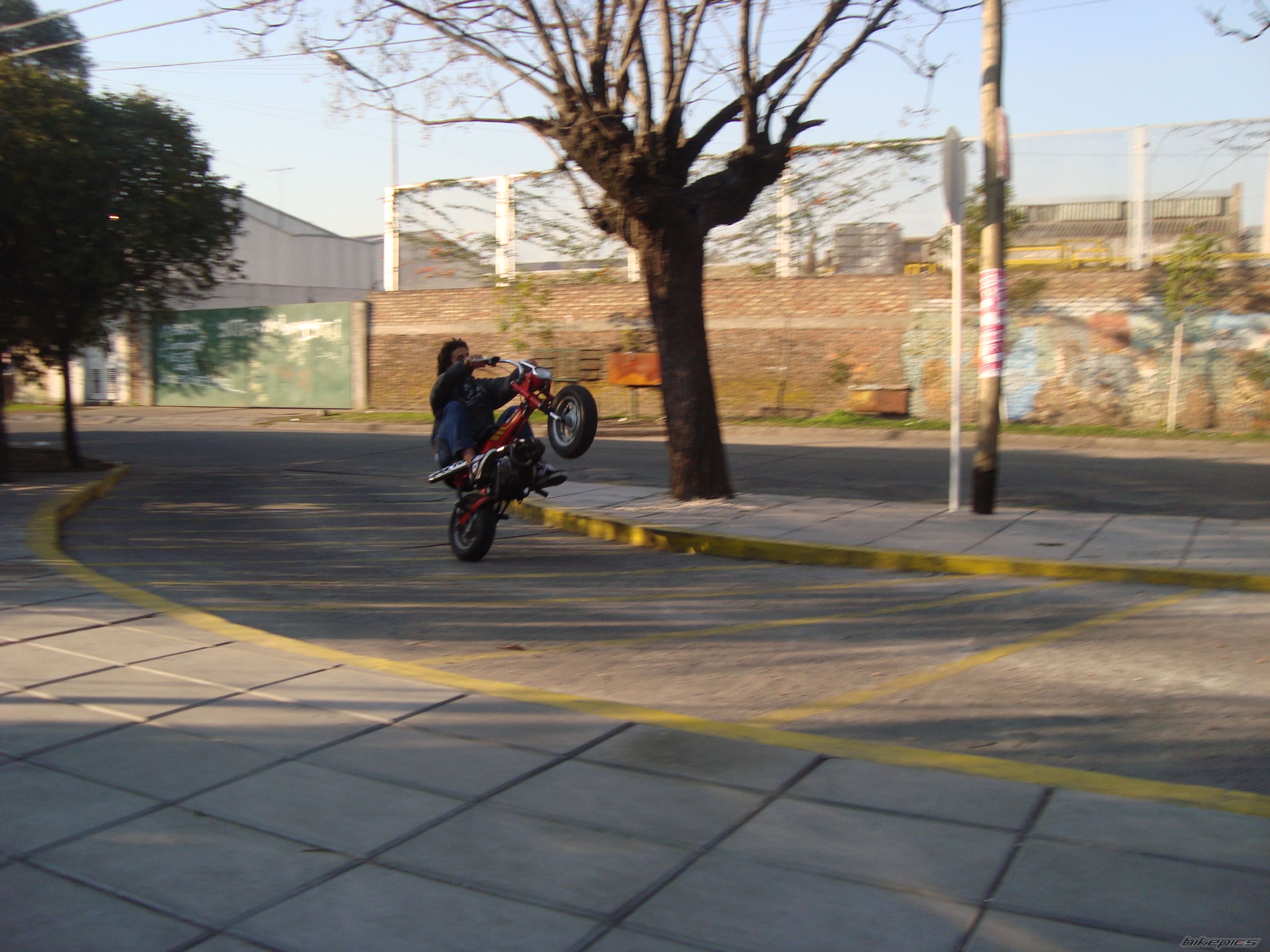 Photo 1472275